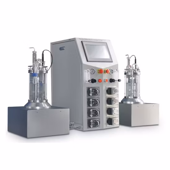 Reactor de recipiente a presión Biorreactor Fermentador de laboratorio Inslin hecho en casa