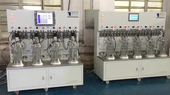 Biorreactores de producción de carbonato de sodio para fermentador de laboratorio
